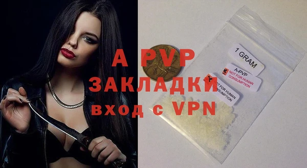 прущие грибы Бородино