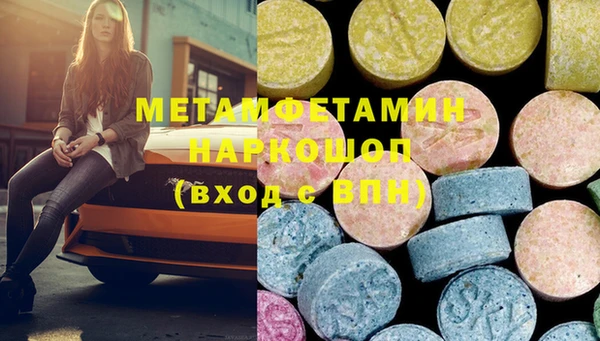 прущие грибы Бородино