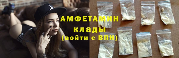 прущие грибы Бородино