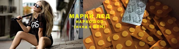 прущие грибы Бородино