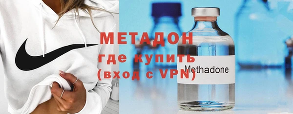 прущие грибы Бородино