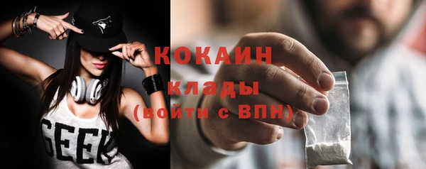 прущие грибы Бородино