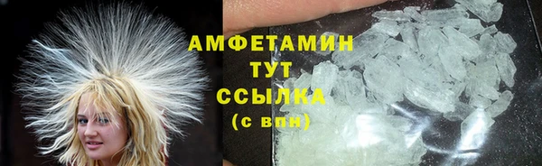 прущие грибы Бородино