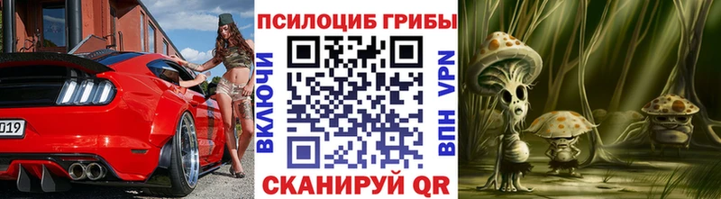 Псилоцибиновые грибы Psilocybe  Дальнегорск 