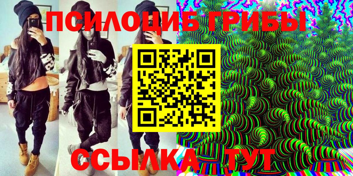купить наркотики сайты  Галлюциногенные грибы мицелий  Вход с VPN  Дальнегорск 
