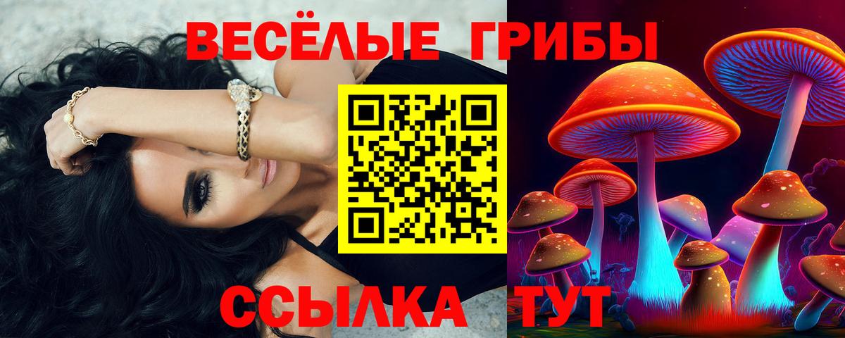 Псилоцибиновые грибы мухоморы Дальнегорск